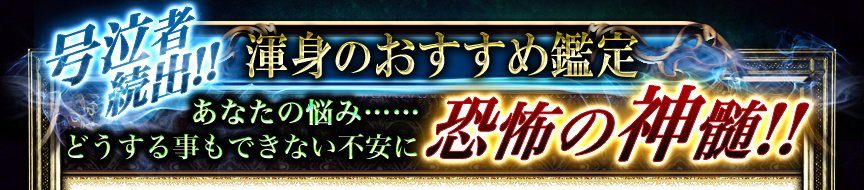 号泣者続出!!　渾身のおすすめ鑑定　あなたの悩み……どうすることもできない不安に恐怖の神髄